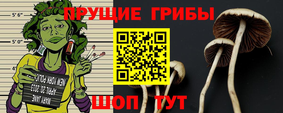 Псилоцибиновые грибы ЛСД  Вход с VPN  Галлюциногенные грибы мухоморы  Гусиноозёрск 