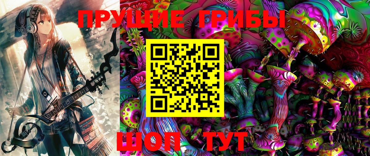Галлюциногенные грибы GOLDEN TEACHER Гусиноозёрск